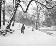 880260 Gezicht over het besneeuwde singelplantsoen ter hoogte van de Pelmolenweg (links), met rechts de ...